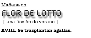 Mañana en FLOR DE LOTTO: XVIII. Se trasplantan agallas.