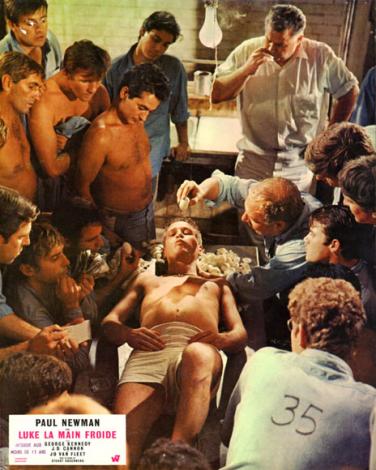 /upload/fotos/blogs_entradas/cool_hand_luke_2_med.jpg