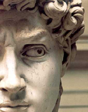 Detalle 