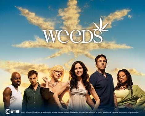 /upload/fotos/blogs_entradas/weeds_med.jpg