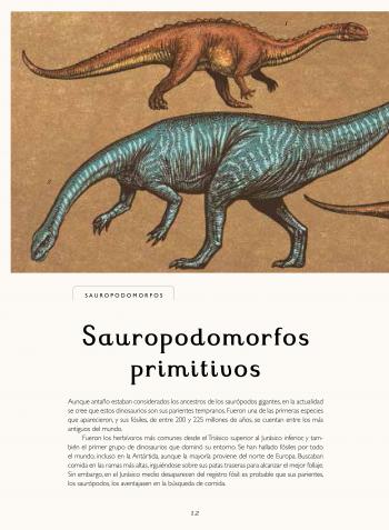 /upload/fotos/obras/interior_dinosaurium_web12_med.jpg