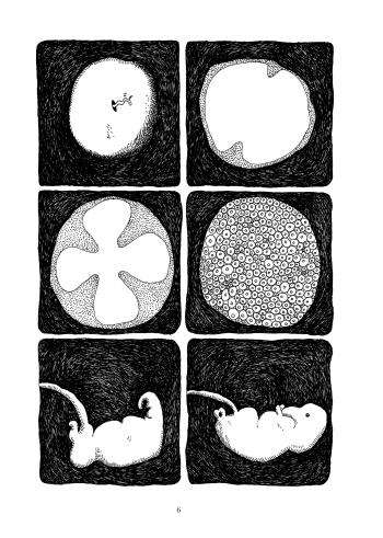 /upload/fotos/obras/primeras_pginas_virus_tropical2_med.jpg